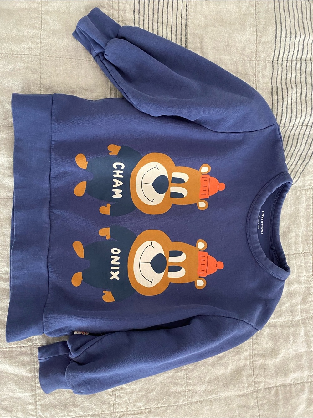 Tiny Cottons Navy Kids Bear Graphic Sweatshirt Chamonix